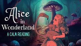 Reading of Alice in Wonderland  full audiobook  Story Reading for Sleep  Relaxing Reading [upl. by Nnaynaffit]