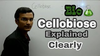 Cellobiose Disaccharide  Biochemistry lecture [upl. by Emlyn897]