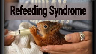 Refeeding Syndrome by Dr Gireesh Kumar KP [upl. by Adlesirhc]