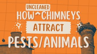 How Uncleaned Chimneys Can Attract Pests or Animals [upl. by Dart]