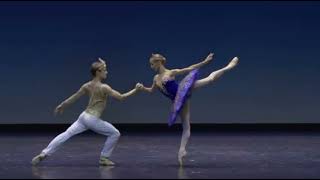 LE CORSAIRE  Grand Pas de Deux Iana Salenko amp Daniil Simkin [upl. by Bianchi]