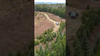 Dirt Road Ruffed Grouse Hunting hunting birdhunting shotgun [upl. by Eicyak]