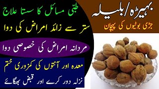 Halela Ya Bahera Ke Fayde  Beleric Myrobalan Health Benefits  بلیلہ یا بہیڑہ کے فائدے [upl. by Beth]