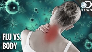 Why The Flu Causes Aches amp Pains [upl. by Kentigera141]