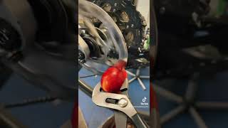 Disc Brake vs Apple shorts [upl. by Hope]