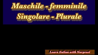 Maschile  Femminile e Singolare  Plurale lesson 29 [upl. by Keely]