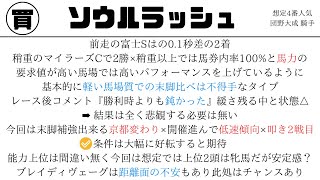 マイルチャンピオンシップ2024【データ考察】末脚自慢集った大一番🔥条件好転のこの馬に期待👍 [upl. by Dixil]