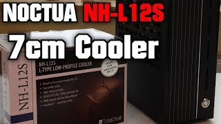 BEST Cooler for Small Form Factor Noctua NHL12S EN [upl. by Zenobia122]