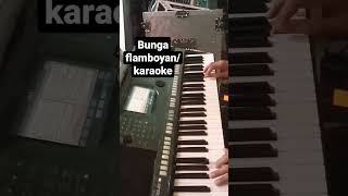 Bunga flamboyan  karaoke nada wanita [upl. by Yur28]