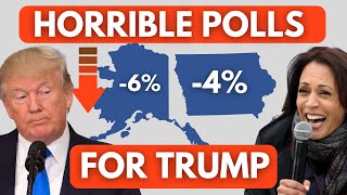 Trump dropping in Iowa and Alaska polls Can Kamala Harris win these states [upl. by Adall]