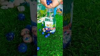 Sweet potato vine propogation diy  colourful pebbles diy shorts pebbles diy viralvideo plants [upl. by Ylus]