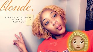 CREME OF NATURE LIGHTEST BLONDE  HOW I DYE MY HAIR BLONDE WITH NO DAMAGE [upl. by Aneelahs206]