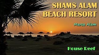 Shams Alam Beach Resort 🏖️ Marsa Alam 🌴 House Reef 🐢 part 3 [upl. by Meadow]