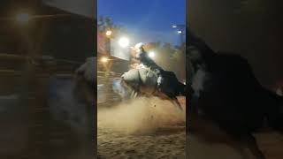 Bullfighters with microphones bullriding [upl. by Casady]