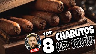 TOP 8 CHARUTOS COM MELHORES CUSTO BENEFÍCIO [upl. by Neersan]