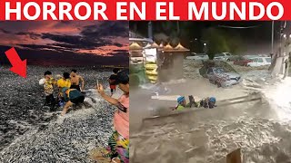 ¿VIENE MEGATERREMOTO MILES DE PECES SE SALEN DEL MAR  CALLES CONVERTIDAS EN RÍOS  SISMOS HOY [upl. by Yborian]