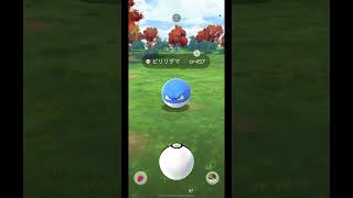 ポケモンGO ビリリダマ色違い [upl. by Erin]