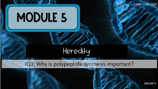 Module 5 Episode 4 Polypeptide Synthesis and Proteins [upl. by Atiek11]