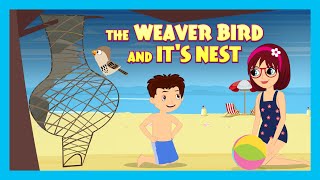 The Weaver Bird And Its Nest  New Kids Story  Tia amp Tofu Storytelling  Kids Stories  Kids Hut [upl. by Care]