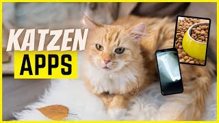 5 Apps die jeder Katzenbesitzer dringend kennen sollte [upl. by Nonnad623]