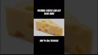 Proving cheese can get 100k subs day 9 cheese [upl. by Lean]