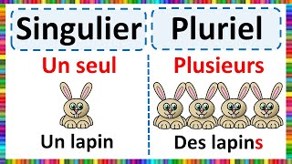 Grammaire  Apprendre le Singulier et le Pluriel [upl. by Eliam]