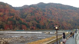 2018年12月1日土 紅葉さらに色づく 京都 嵐山の風景 ☆Arashiyama ☆ 岚山 [upl. by Asilej]