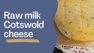 How to make a Cotswold cheese  Raw Milk Cheese  Clabber Cultured [upl. by Ayekat143]