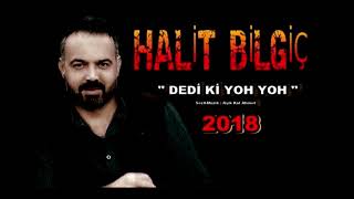 Halit Bilgiç  Dedi ki Yok Yok  Official Audio [upl. by Brew]