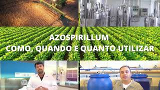 Azospirillum como quando e quanto utilizar I Bioinsumos Brasil [upl. by Olympias]