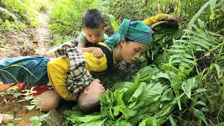 Single Mother Process of Harvesting and Preserving Green Vegetables  Gardening [upl. by Penny]