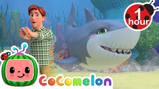 Baby Shark  CoComelon  Moonbug Kids  Nursery Rhymes for Babies [upl. by Mad]