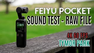 FEIYU POCKET  SOUND TEST  RAW FILE  4K 60 FPS [upl. by Warfeld164]