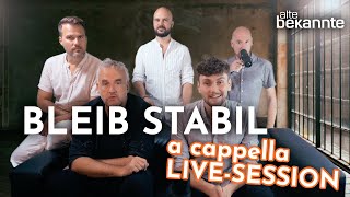 Bleib stabil  Alte Bekannte A Cappella Live Session [upl. by Ayahc]