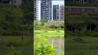 train  Jurong Lake Singapore [upl. by Aneekat]