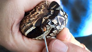 Carving Wood Rattlesnake Canes  Stinnett Sticks [upl. by Gula]