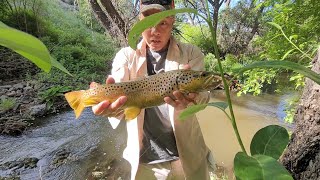 SOUTHERN NEVADA BROWN  Hiking camping searching for the nearest Las Vegas Wild Brown Trout [upl. by Wilfred878]