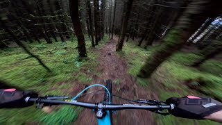 Ravensdale MTB Twixer Born Slippy Jump Trail [upl. by Nathanil]