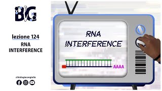 RNA INTERFERENCE Interferenza a RNA siRNA e miRNA [upl. by Daveda23]