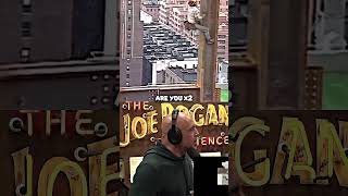 Joe Rogan Reacts To a Construction Worker From the 1980s 🔨 [upl. by Enyaw454]