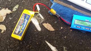 Racerstar BR2212 930KV 24S Brushless Motorhrust Test 1 [upl. by Swope467]