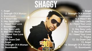 Shaggy Greatest Hits  Best Songs Of 80s 90s Old Music Hits Collection [upl. by Shell]