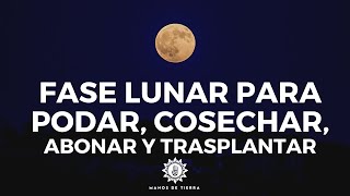 🌖 Como Usar Fases Lunares Para Podar Cosechar Abonar Injertar y plantar 🌙 [upl. by Enilorac]