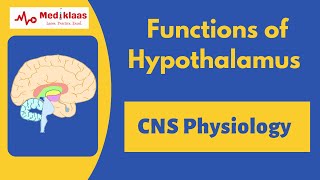 Functions of Hypothalamus  Nerurology  Physiology  Mediklaas [upl. by Ytirehc974]