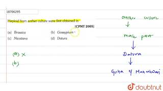 Haploid from anther culture were first obtained in [upl. by Aizirtap]