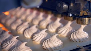 HOW ITS MADE CHOCOLATE COATED MARSHMALLOW  Mass Production Process In Chocolate Factory [upl. by Ocirederf]