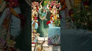 gauranga bolite habe  iskcon delhi viral iskcontemple kirtan shorts [upl. by Pero193]