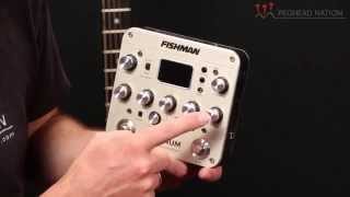 Fishman Platinum Pro EQ Demo from Peghead Nation [upl. by Hastings768]