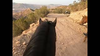 4K  Rando équestre dAgadir à Essaouira Jour 16  Amazir Cheval horseback [upl. by Gnep]