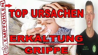 TOP Ursachen für Erkältungen  Grippe❗ KLARTEXT❗ Steffen Backhaus Fit for Life [upl. by Leinehtan]